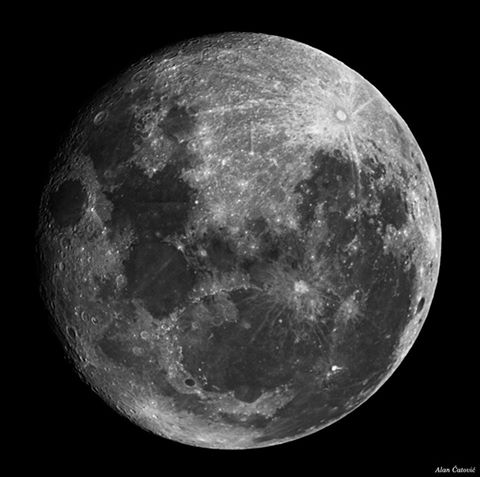 15056264_10211198503617725_9133111742158794240_n