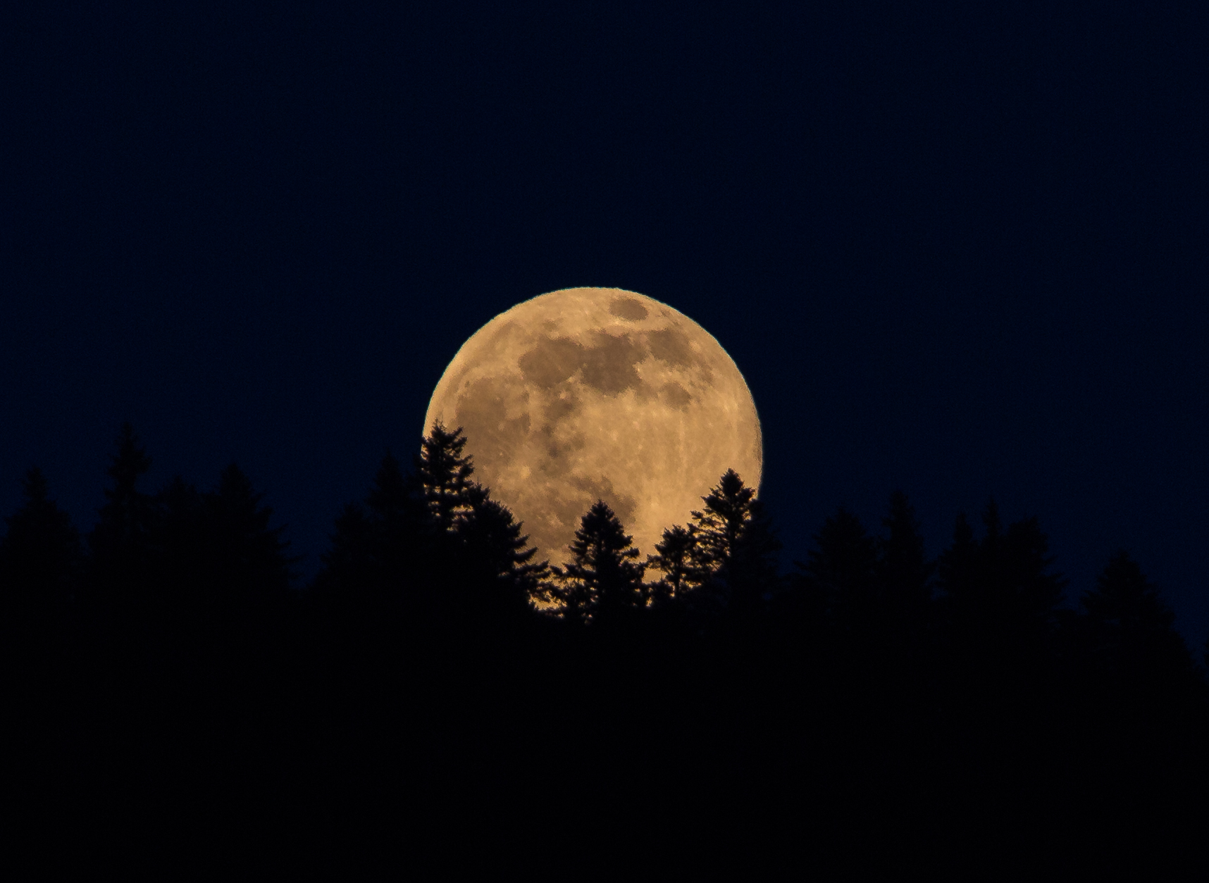 30628178423_faef86efaa_o