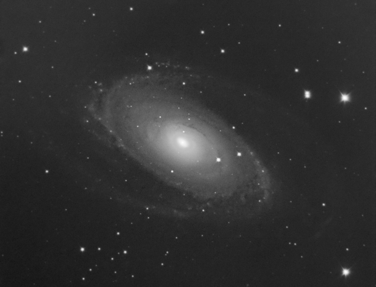M81