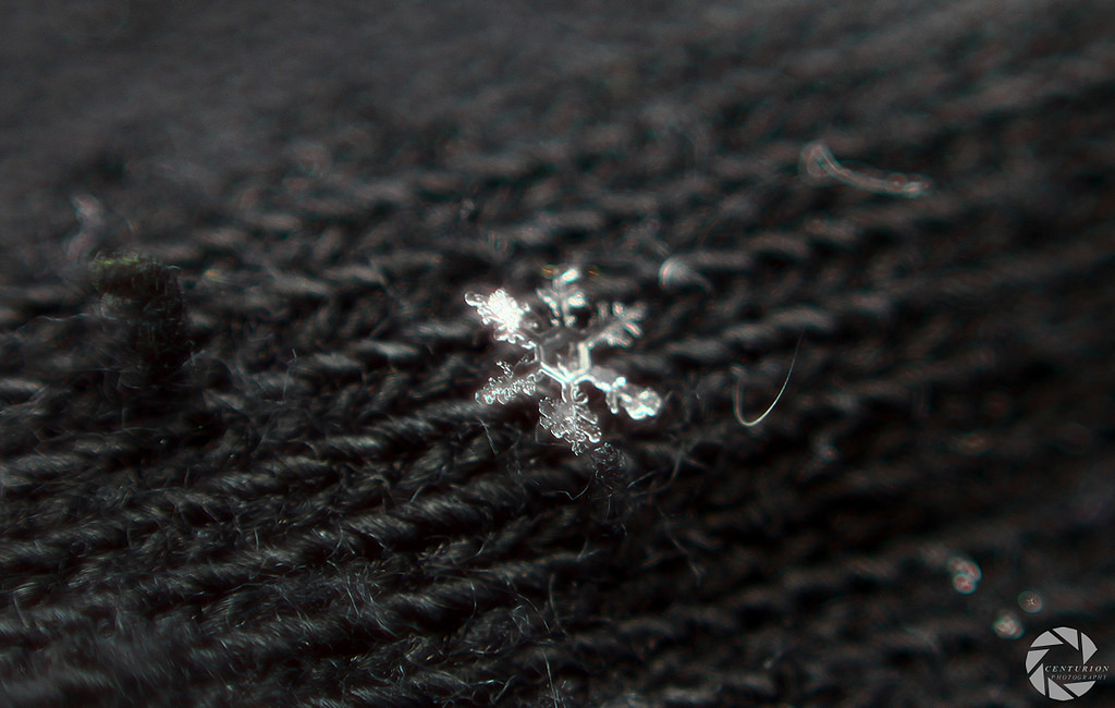 16877809930_f46f57aafe_b