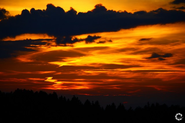 18697535003_fbe8b9a375_h