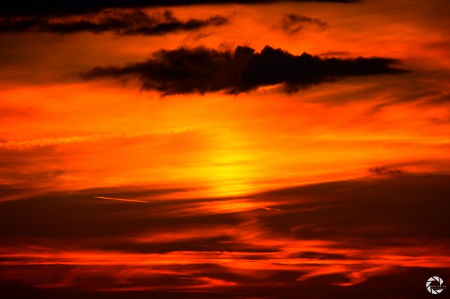 19318123205_0ecc33f3cc_h