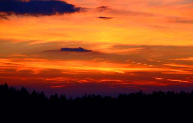 22203181943_b19242fbbd_h