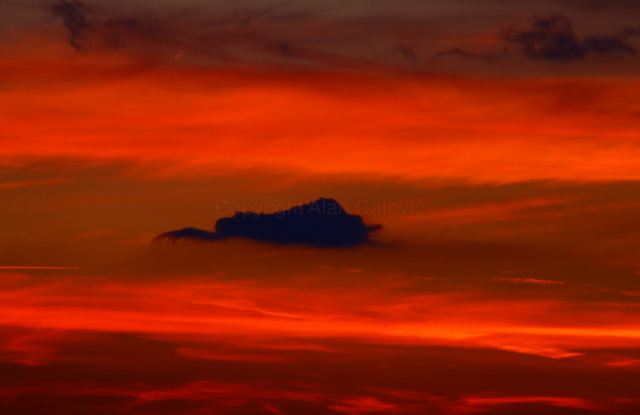 22203184243_b5372a16cc_h