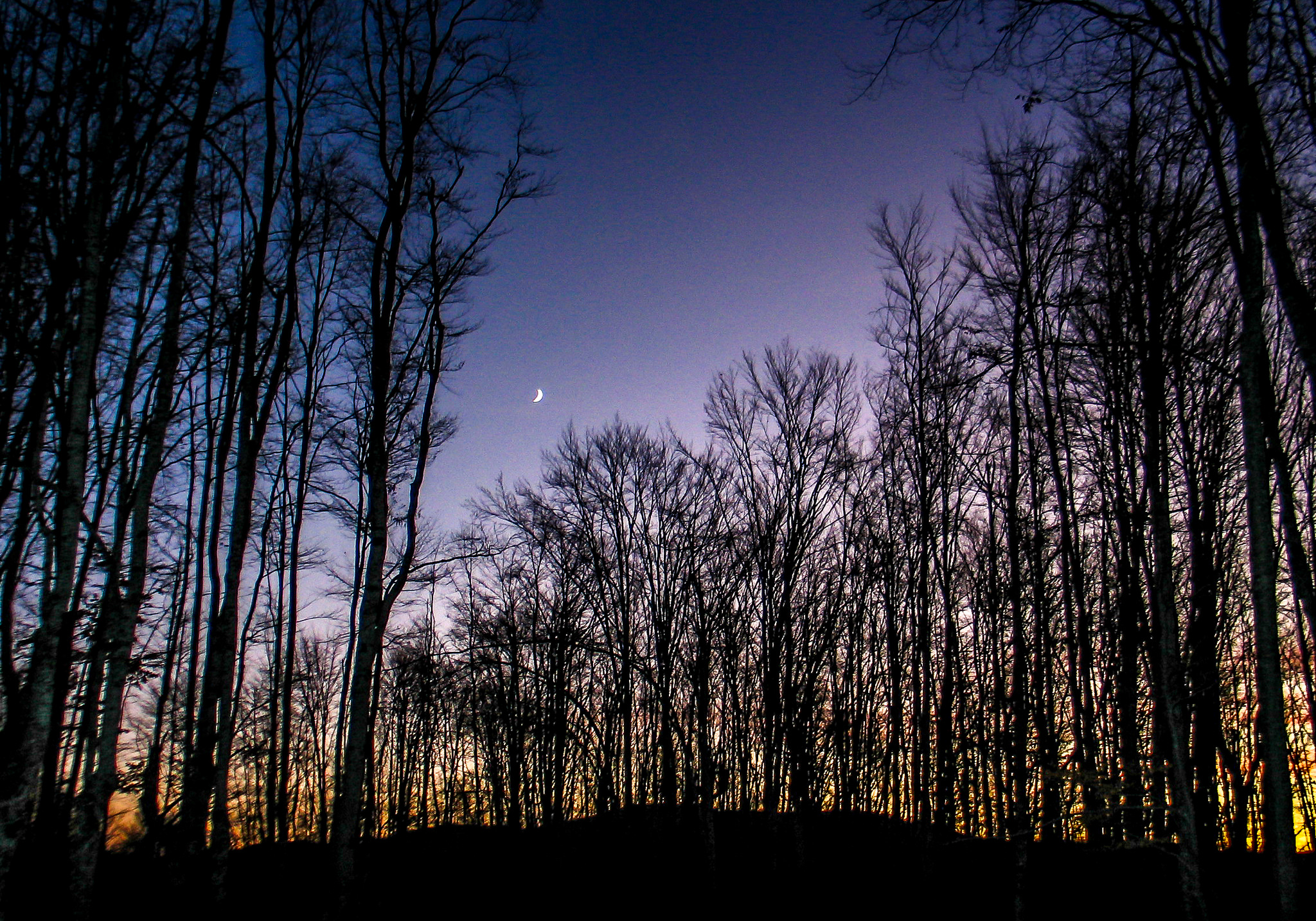 23708959323_86f4c2a7bf_k