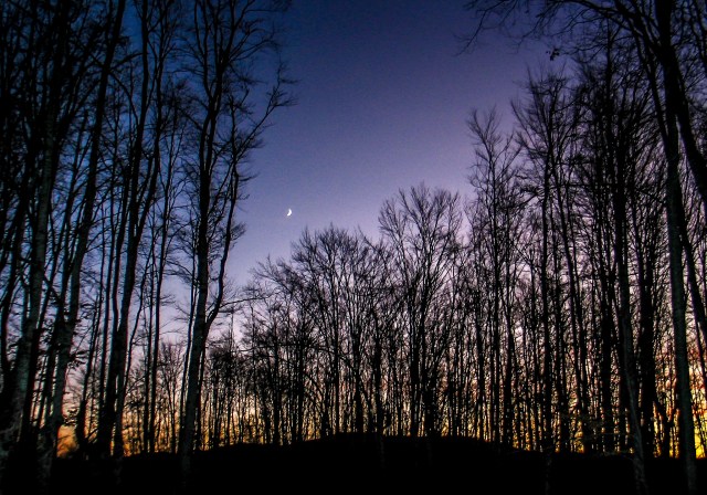 23708959323_86f4c2a7bf_k