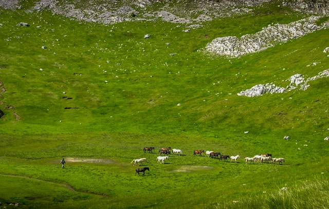 Horses on Visocica