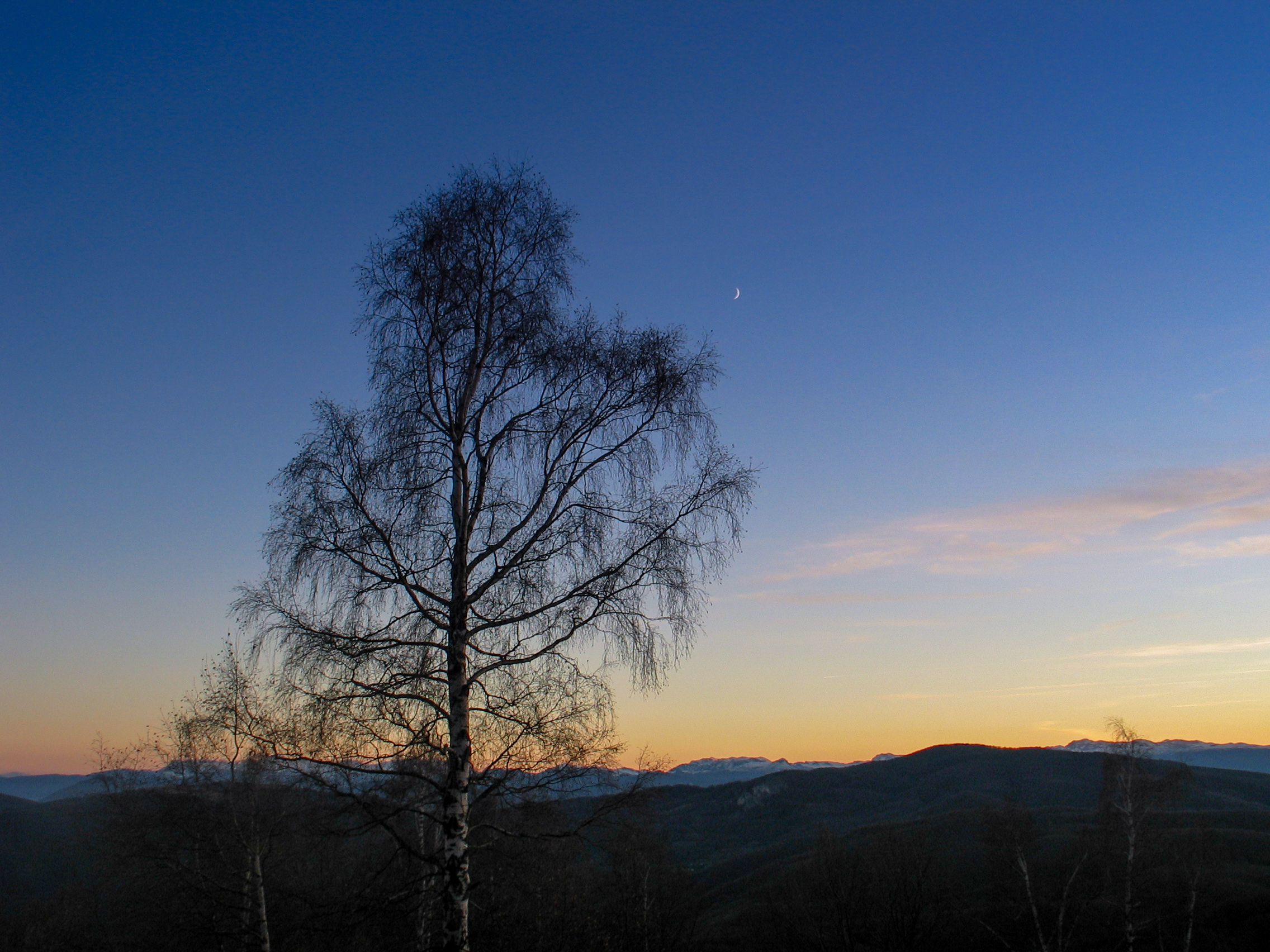 Jahorina 25.11.2006, 098 (2)-2