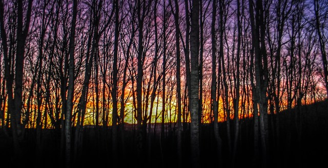 Jahorina 25.11.2006, 102