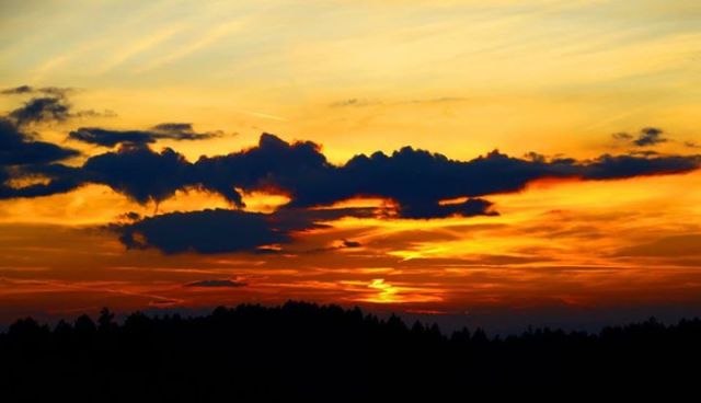 11265279_10206995345341395_6848431770636129770_n