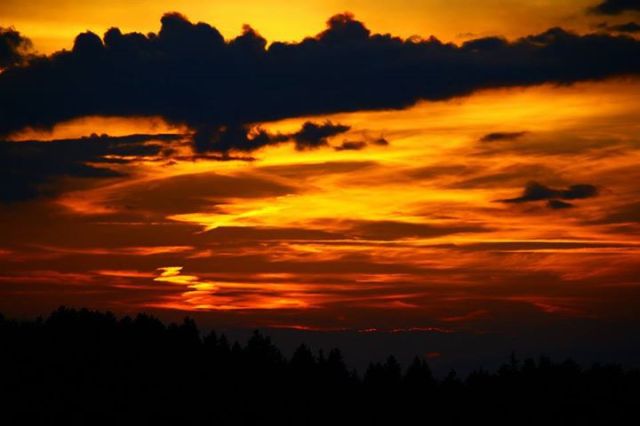 11665622_10206995344301369_9185881681154648076_n