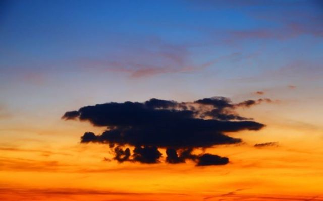 11707579_10206995346341420_1315260367611538320_n