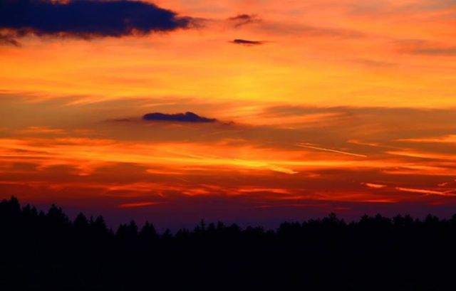 1479012_10206995345501399_6443419521241321313_n (1)