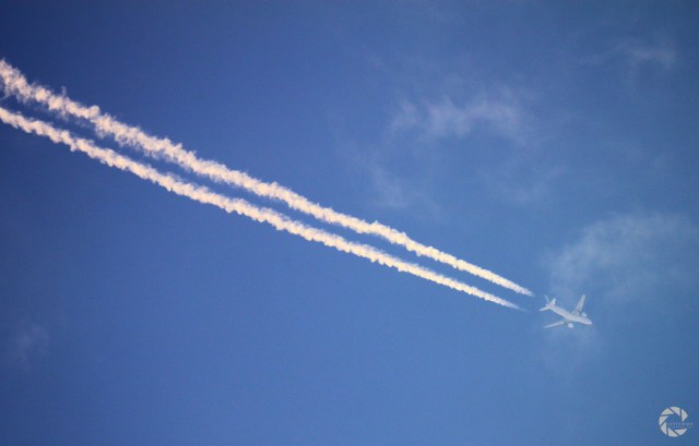 18230821974_bc371ae30d_k