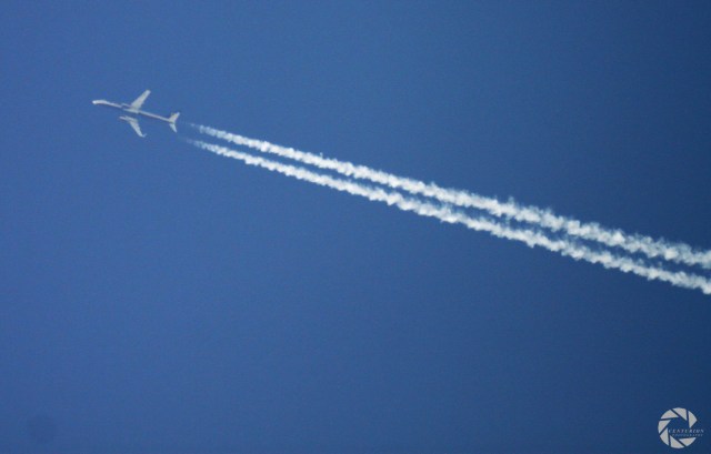 18232774963_e0353e2a9e_k