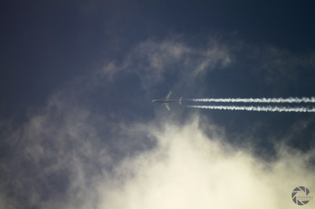 18667238109_9f37832c76_k