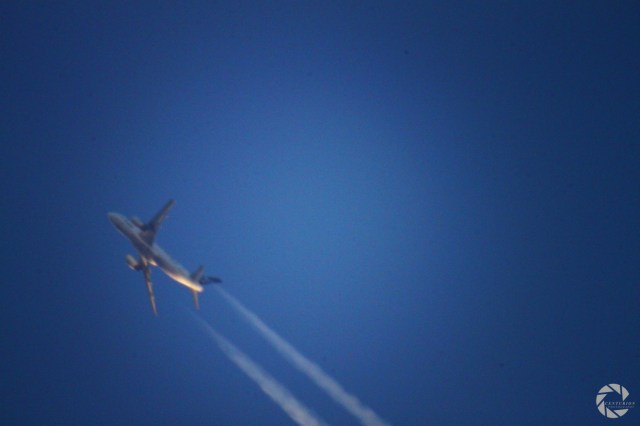 18667248069_d01fa56019_k