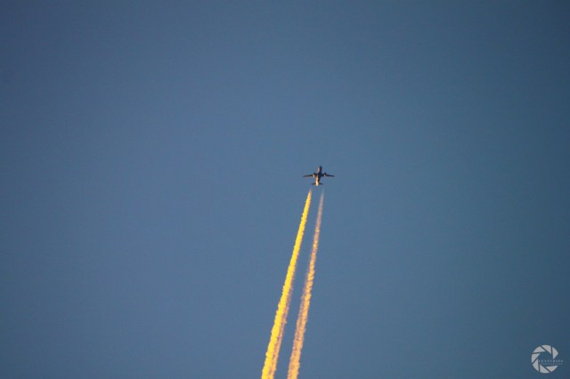 18667252069_d94a666de4_k