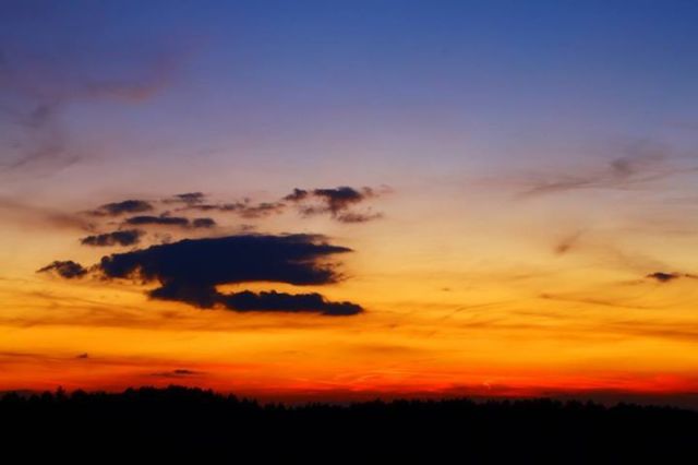 18718_10206995347261443_8551745335400800016_n