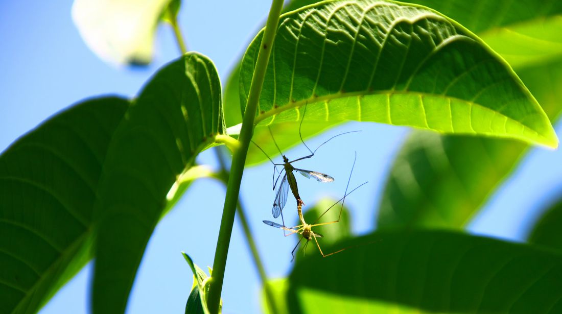 19648529842_88c6efb45f_h