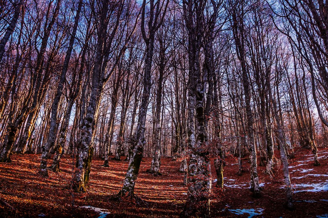 23393652223_2bd2eb862a_k