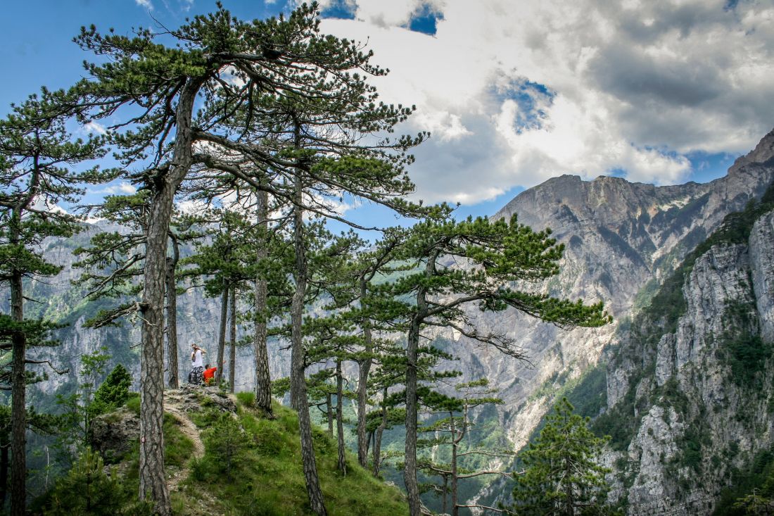 24309725176_d04880e27f_k