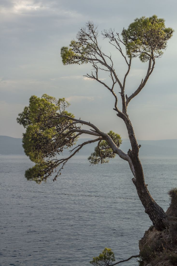 30199775958_4dbbe8a0b5_k