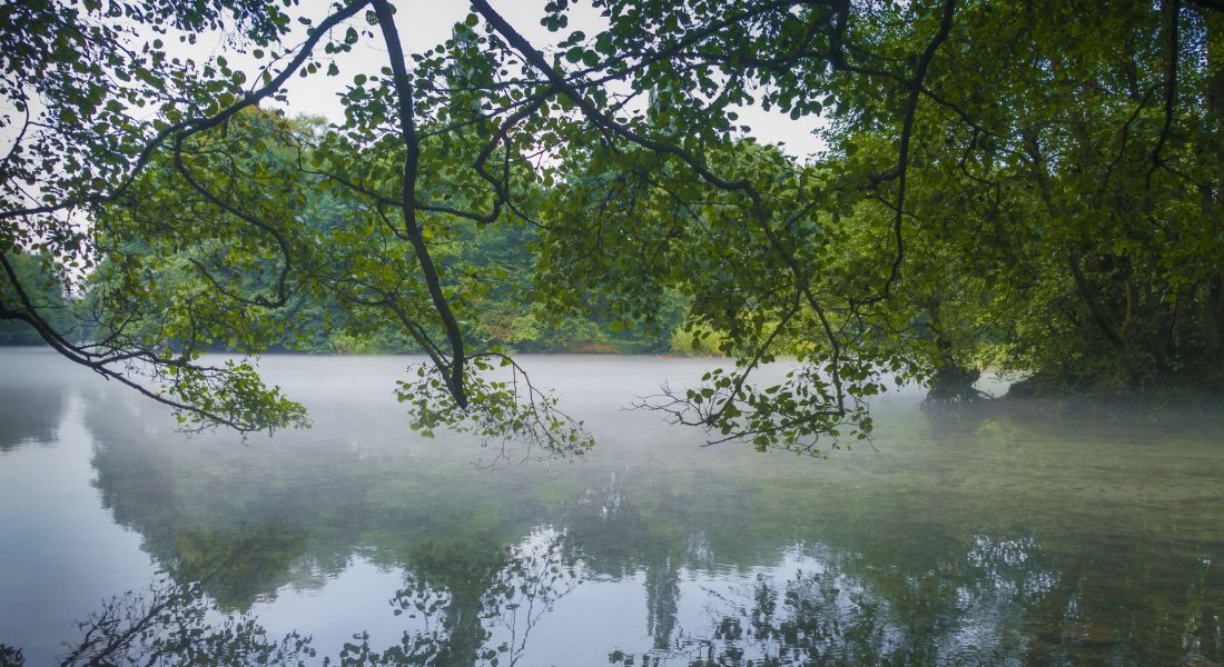 44194080121_1530538385_k